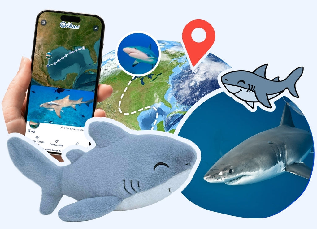 Shark Adoption Plushie