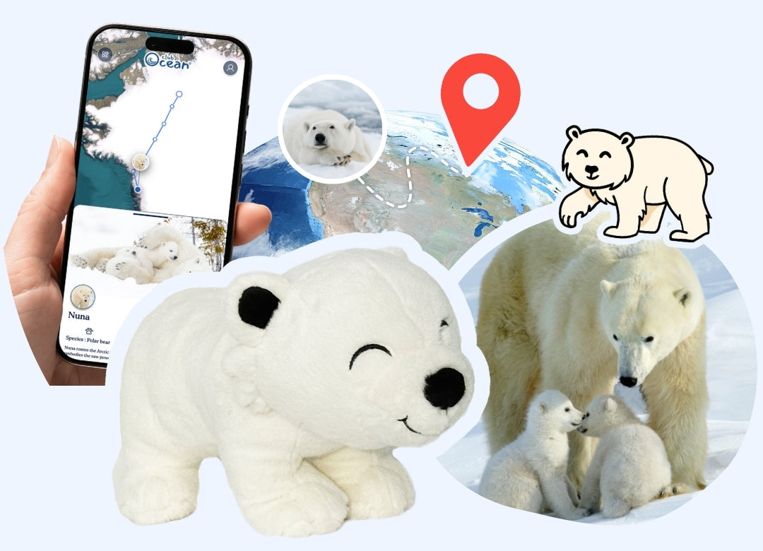 Polar Bear Plushie