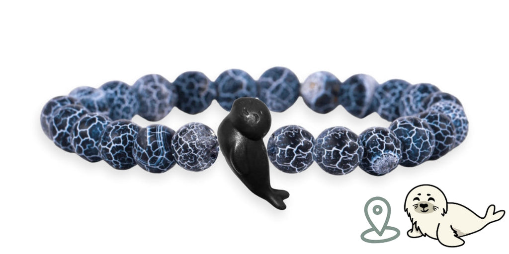 Seal Tracking Bracelet