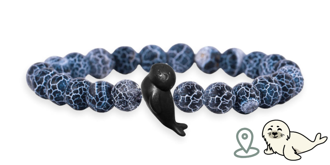 Seal Tracking Bracelet