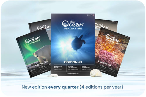 ClubOcean Magazine