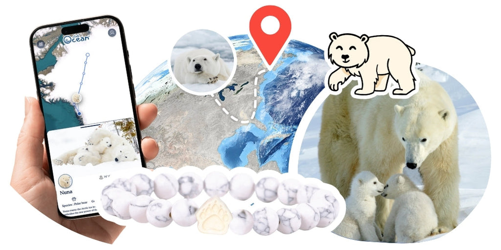 Polar Bear Tracking Bracelet