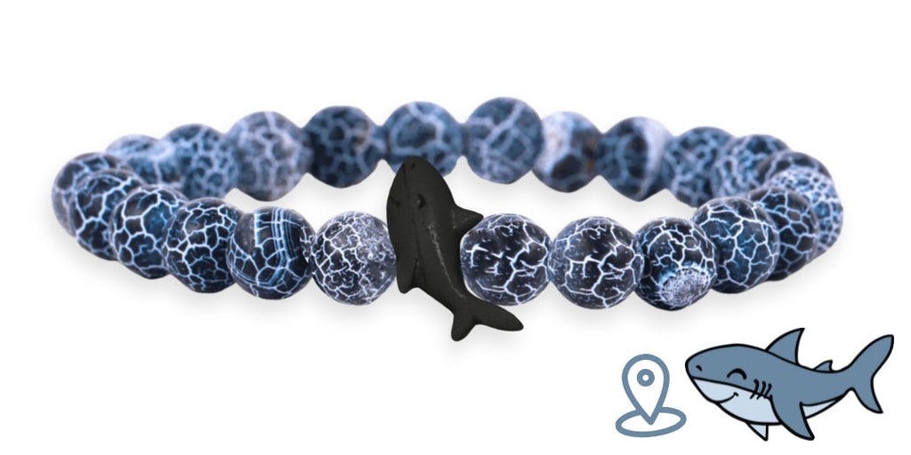 Shark Tracking Bracelet