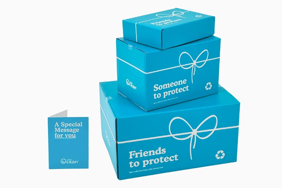 Gift Packaging