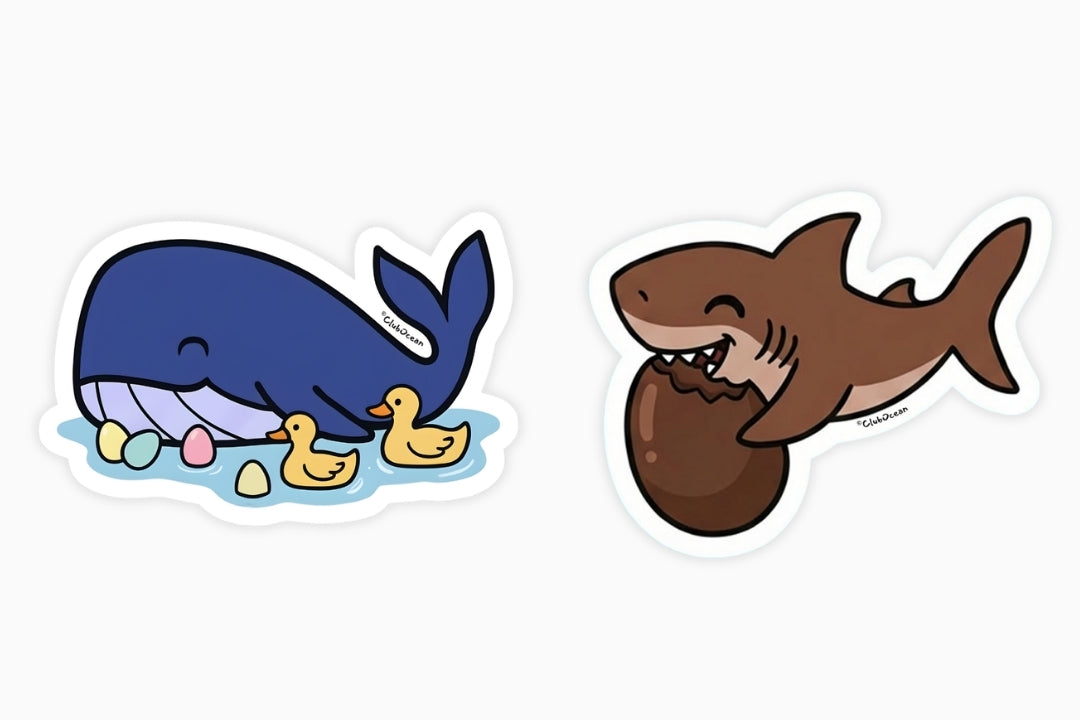 Easter Stickers 🐰