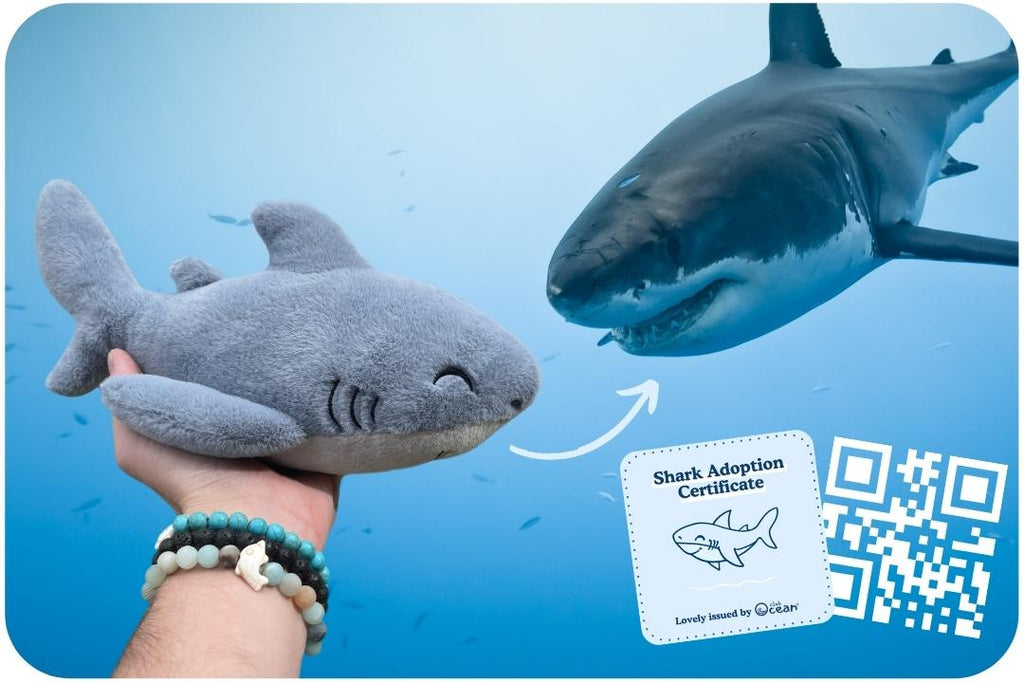Shark Plushie