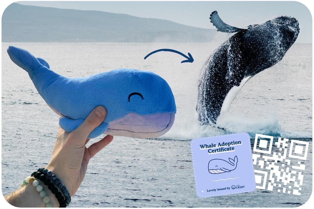 Whale Plushie