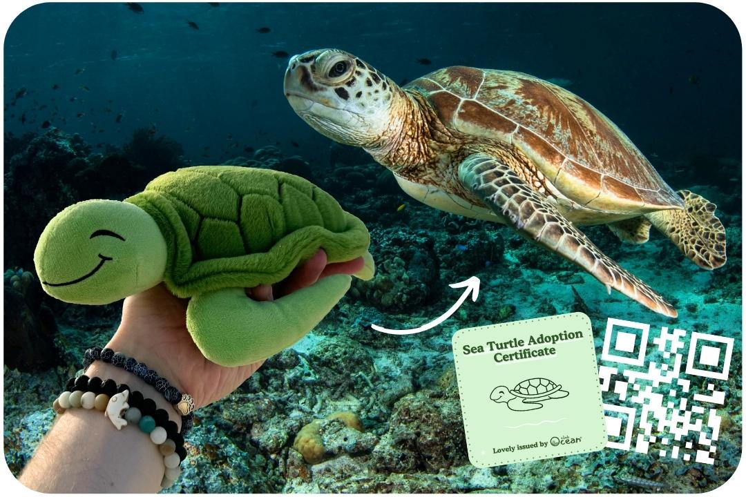 Turtle Plushie