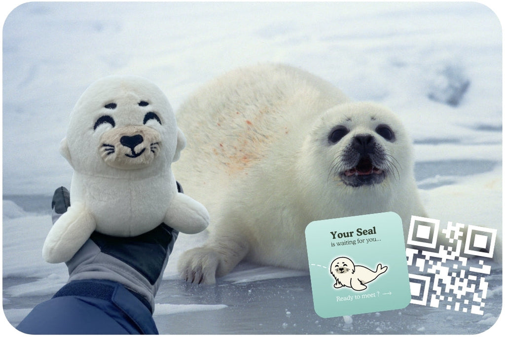Seal Plushie