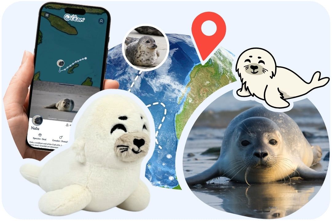 Seal Plushie