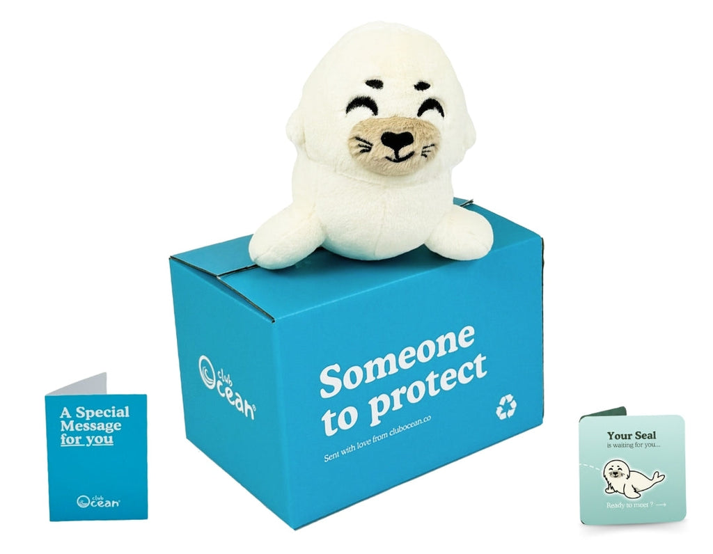 Seal Plushie