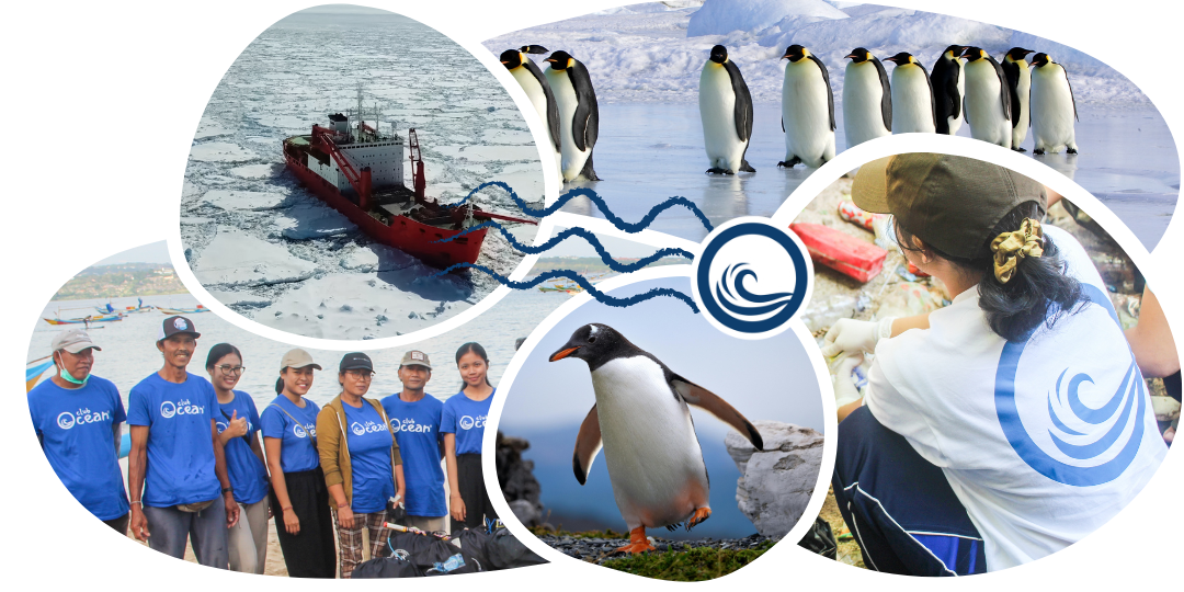 Penguin Adoption Cap